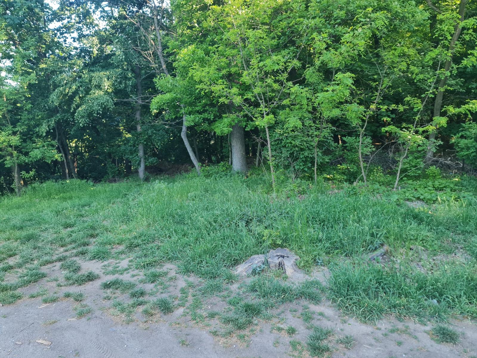 Krásny pozemok 650m2 pri lese akurát na chatu! – fotka 2