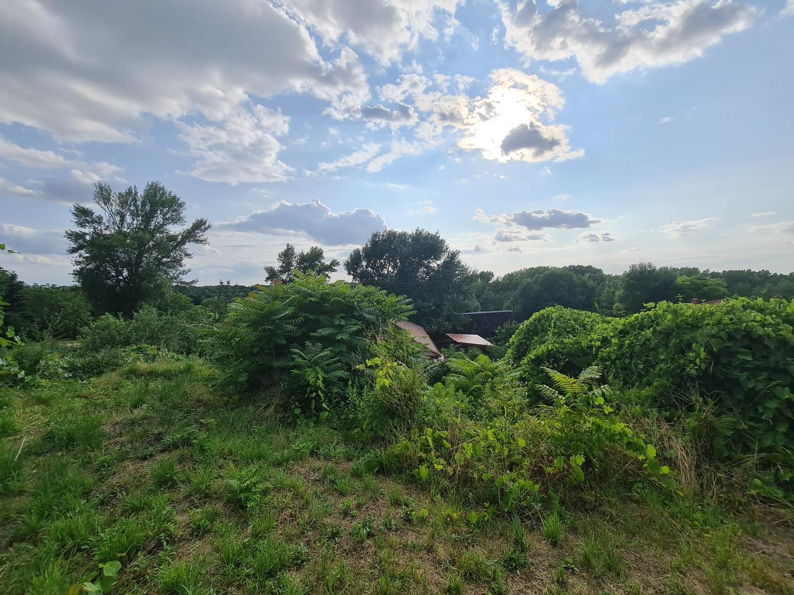 STAVEBNÝ ROVINATÝ 600m2 pozemok s výhľadom široko-ďaleko – fotka 2