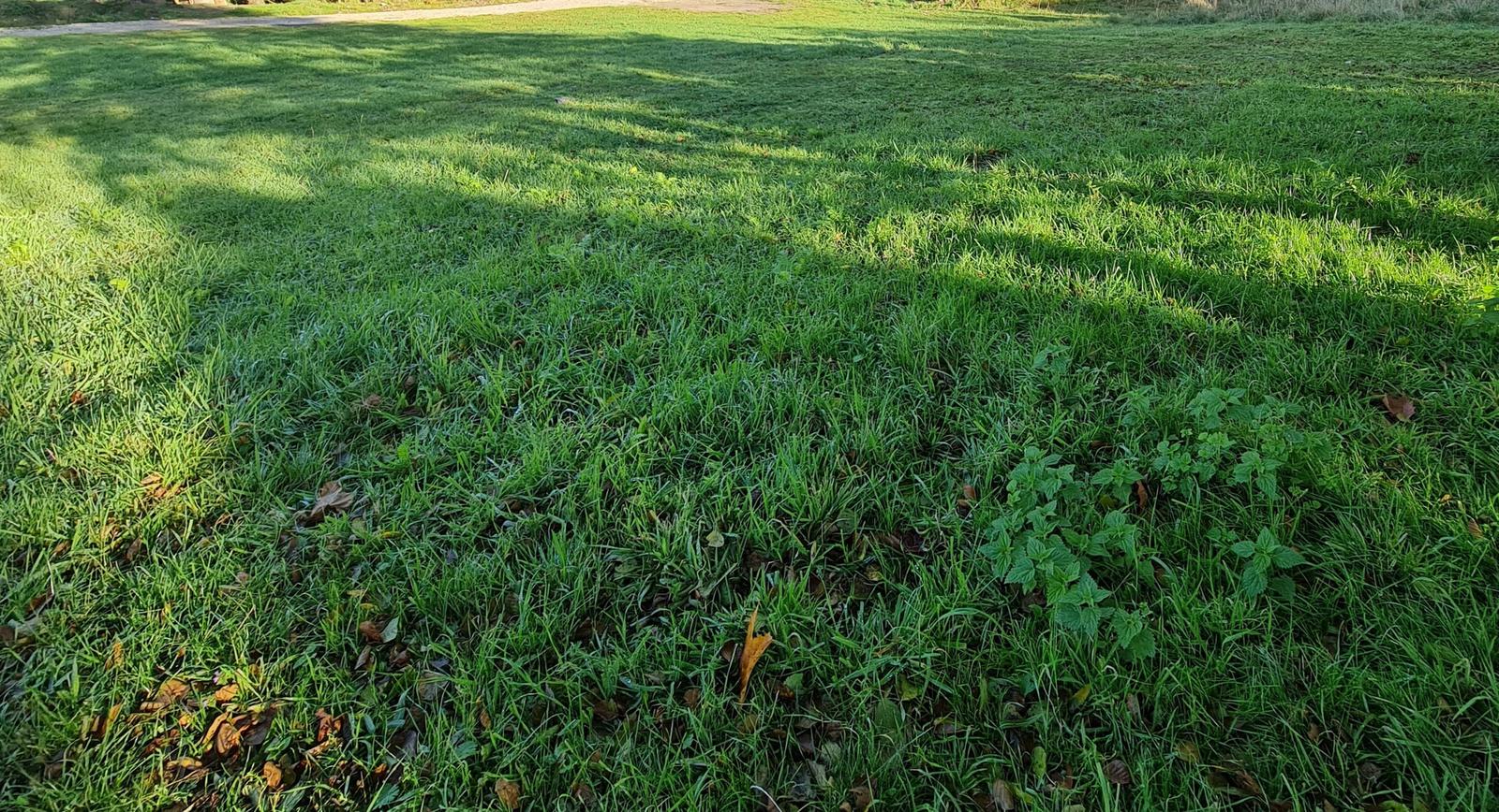 STAVEBNÝ 700m2 pozemok kód územia 102 Rodinný dom