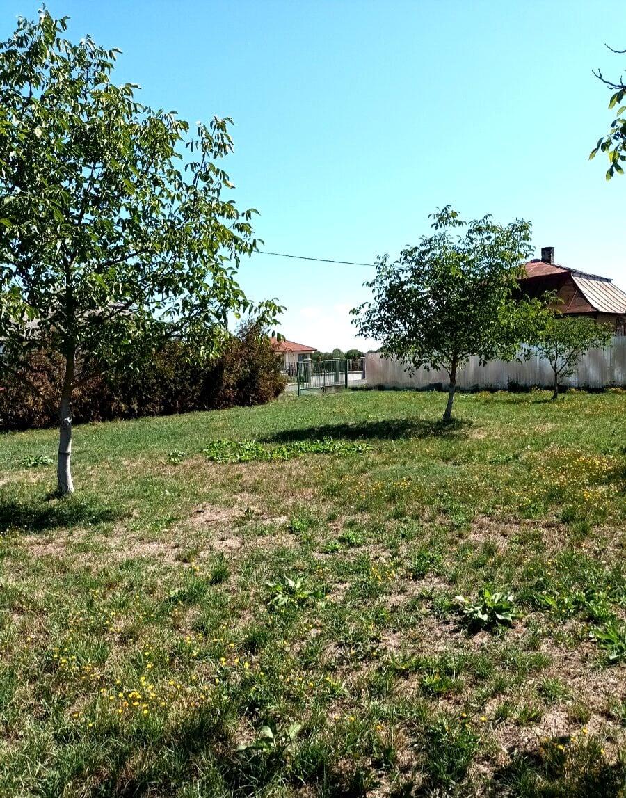 Na predaj záhrada , obec Budince, okres  Michalovce – fotka 2