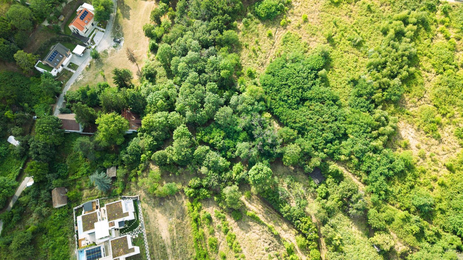 Na predaj investičný pozemok 1307 m2 - Bratislava, Koliba