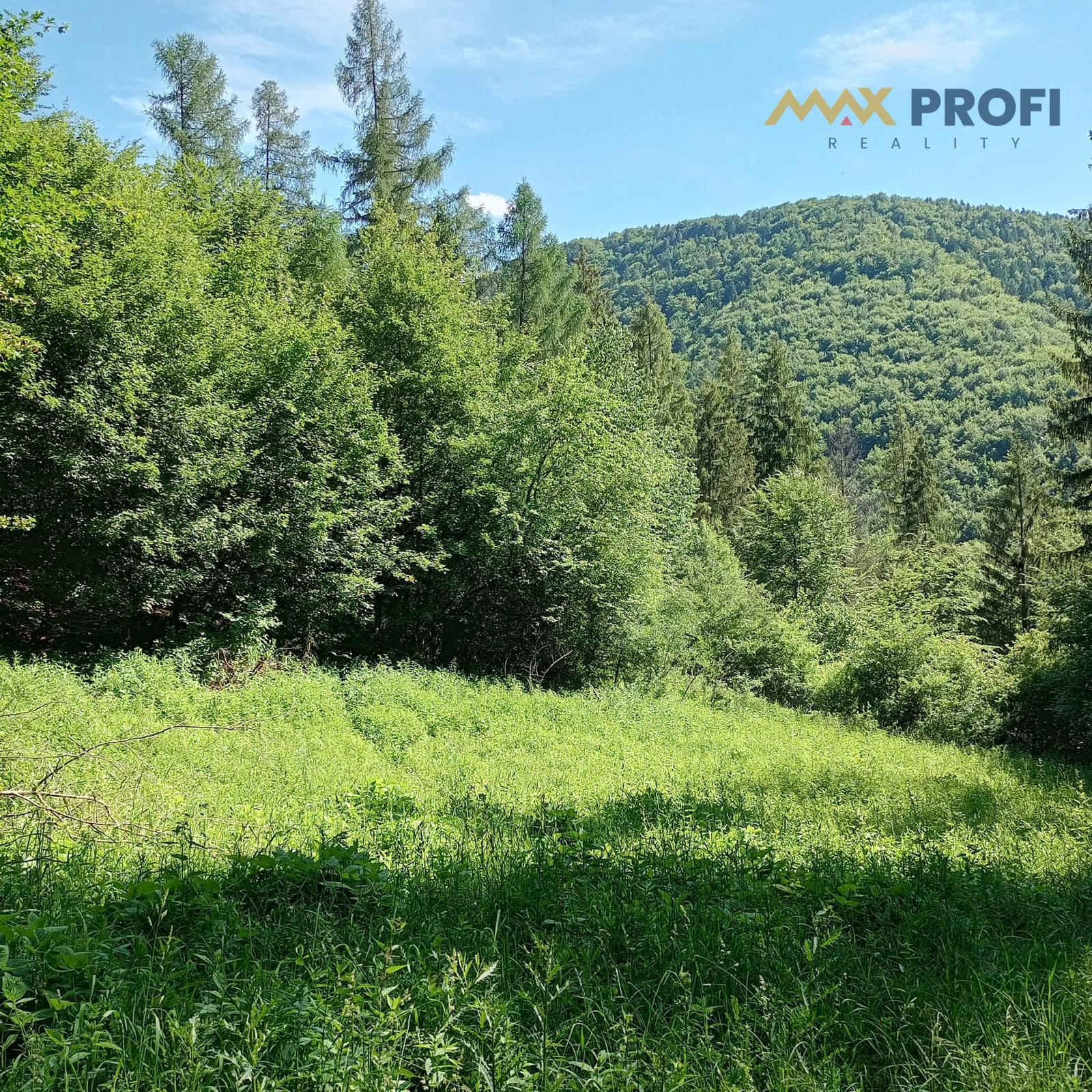 Na predaj: Pozemok pre dobrodruha alebo človeka s vlastnou víziou, Podhradie,  Martin, 1763m2