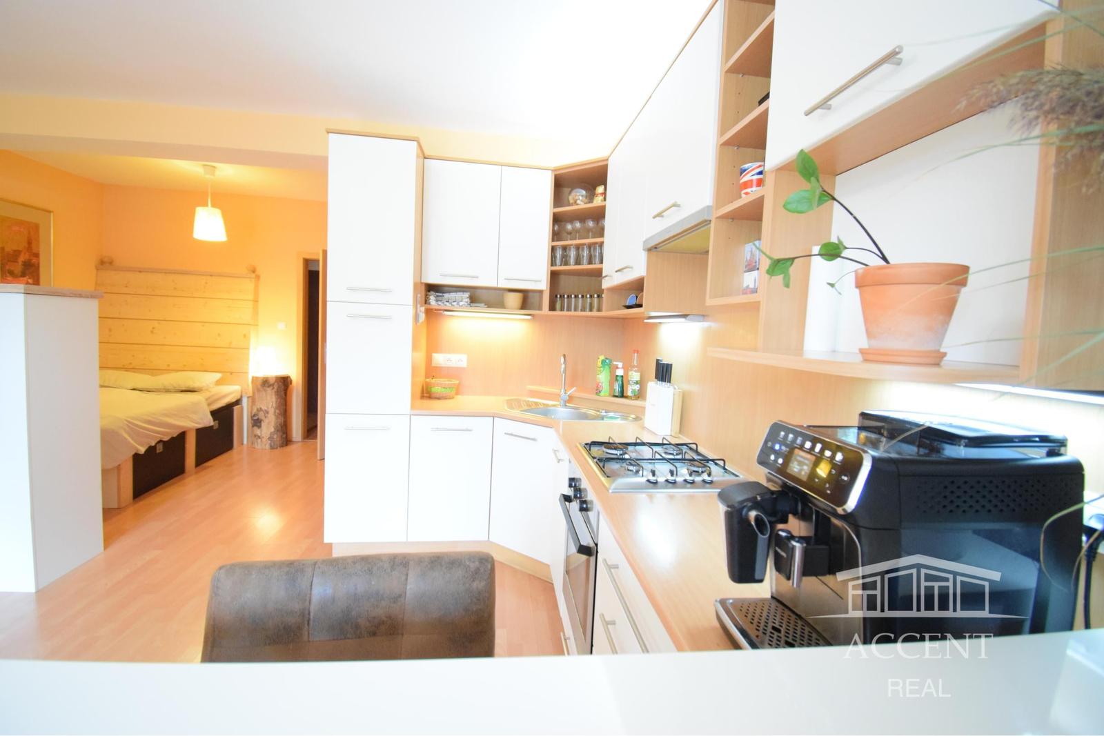 ACCENT REAL / PEKNÝ, KOMPLETNE ZARIADENÝ 1-IZBOVÝ BYT 45M2 S PARKOVACÍM MIESTOM