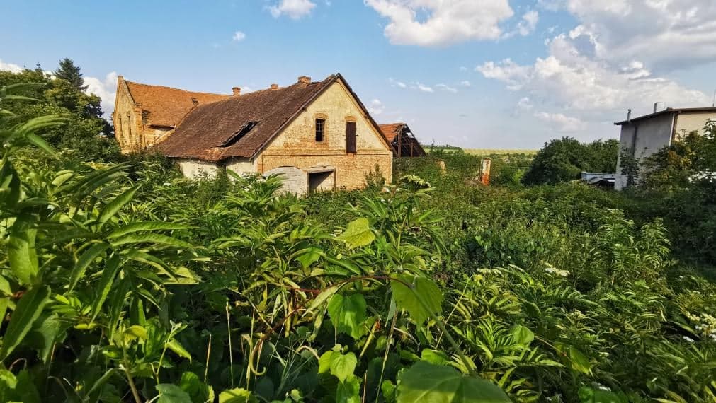Znížená cena - Na predaj stavebný pozemok v obci Trávnica
