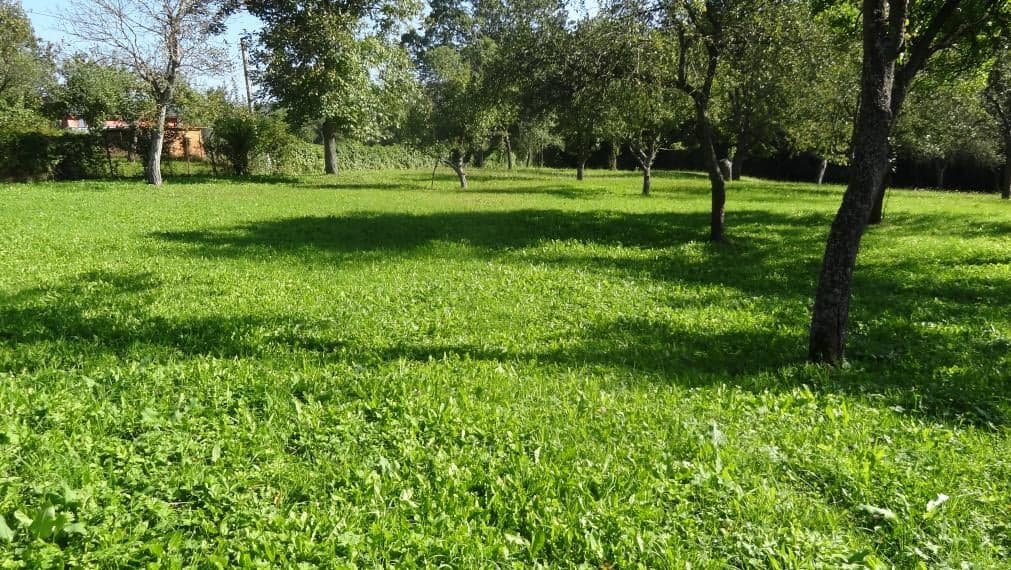 Krásny pozemok na rekreačné a pestovateľské účely, Mirkovce, okres Prešov