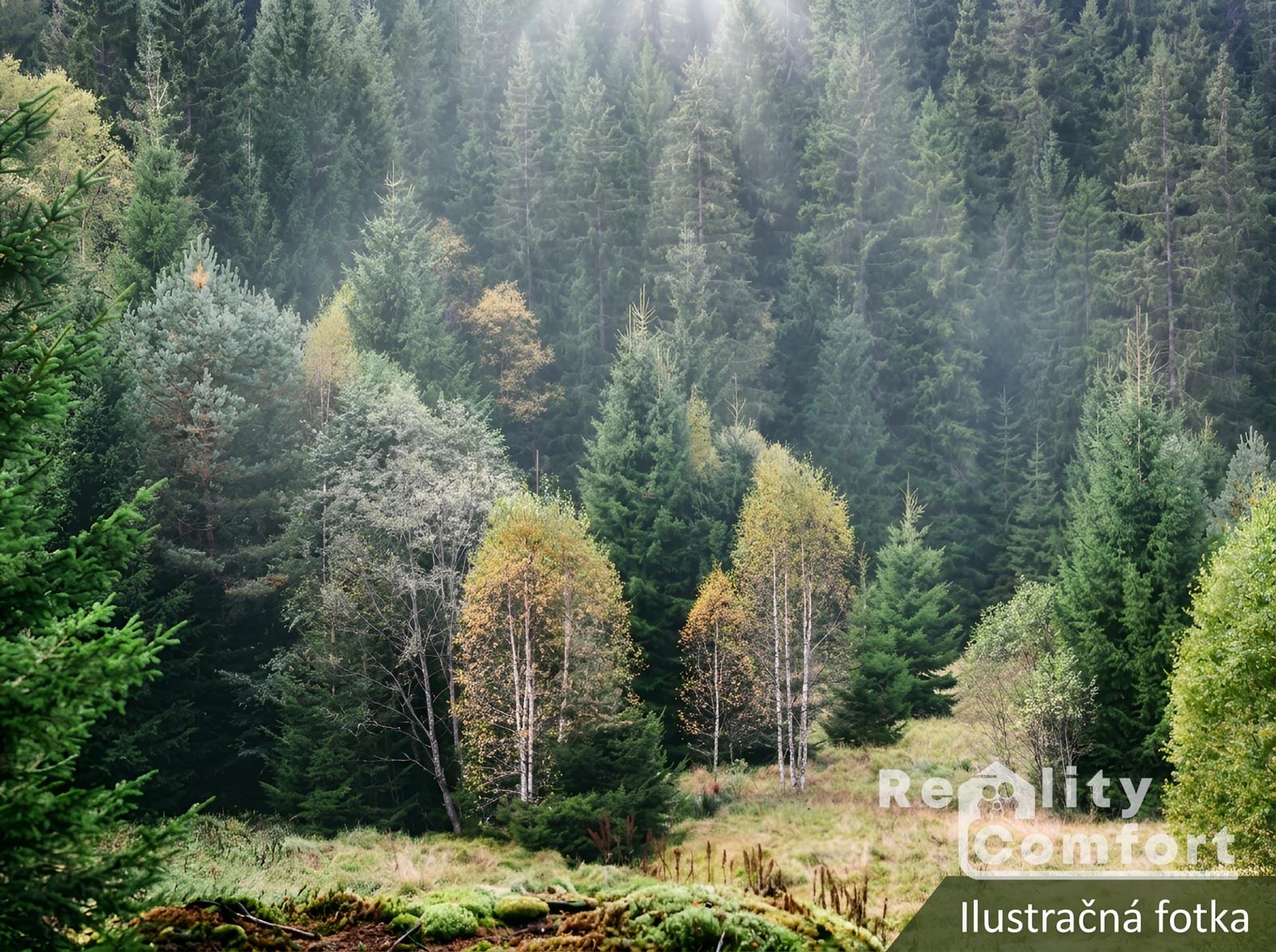 REALITY COMFORT - Investičná príležitosť – lesné pozemky a lúky, Prosiek (LM)
