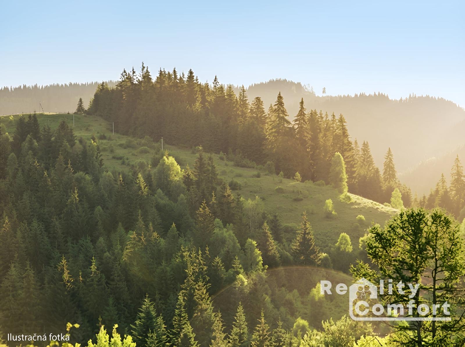 REALITY COMFORT - Predaj pozemkov v ku. Liptovská Sielnica