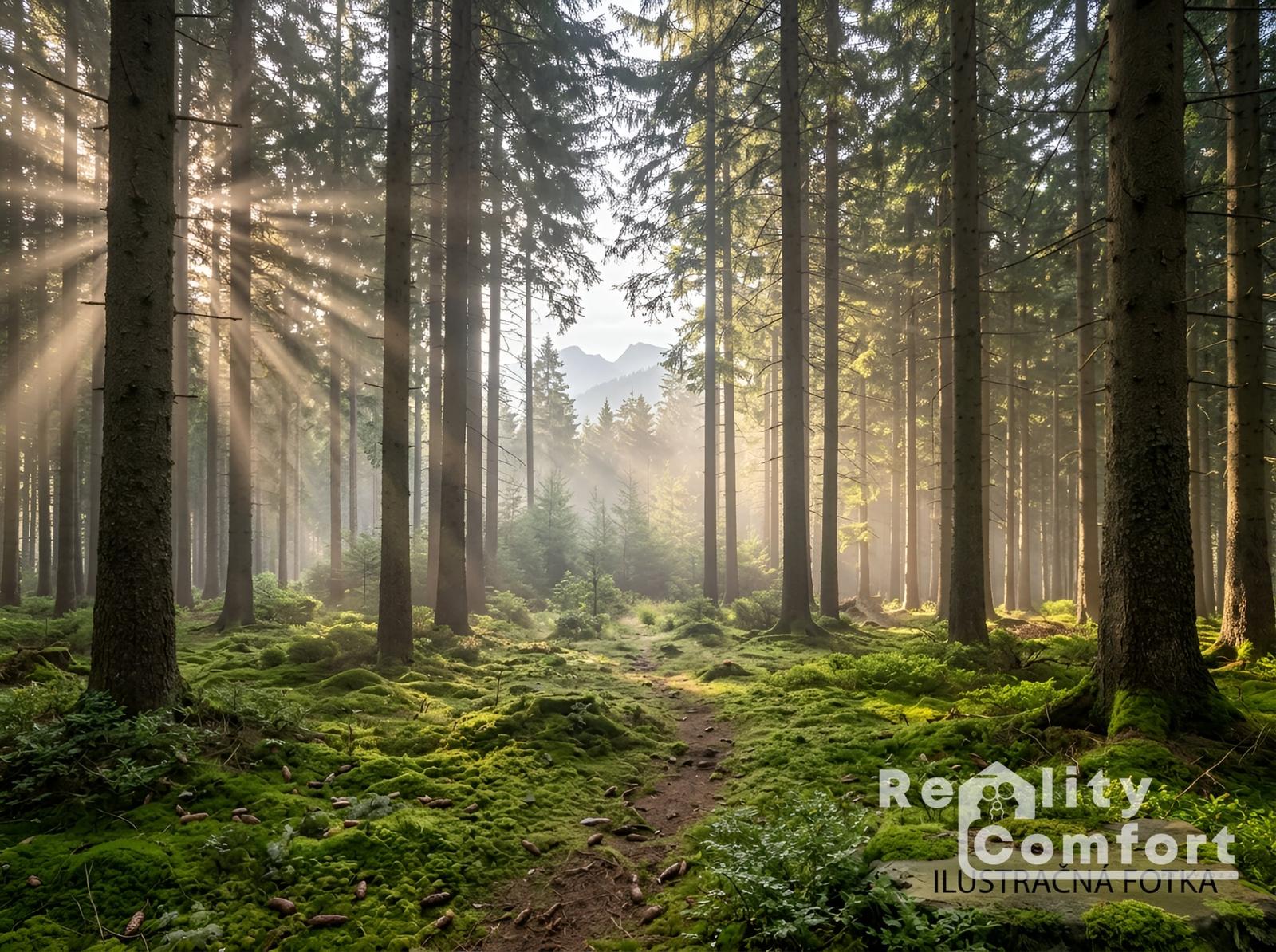 REALITY COMFORT - predaj pozemkov ku. Liptovská Sielnica