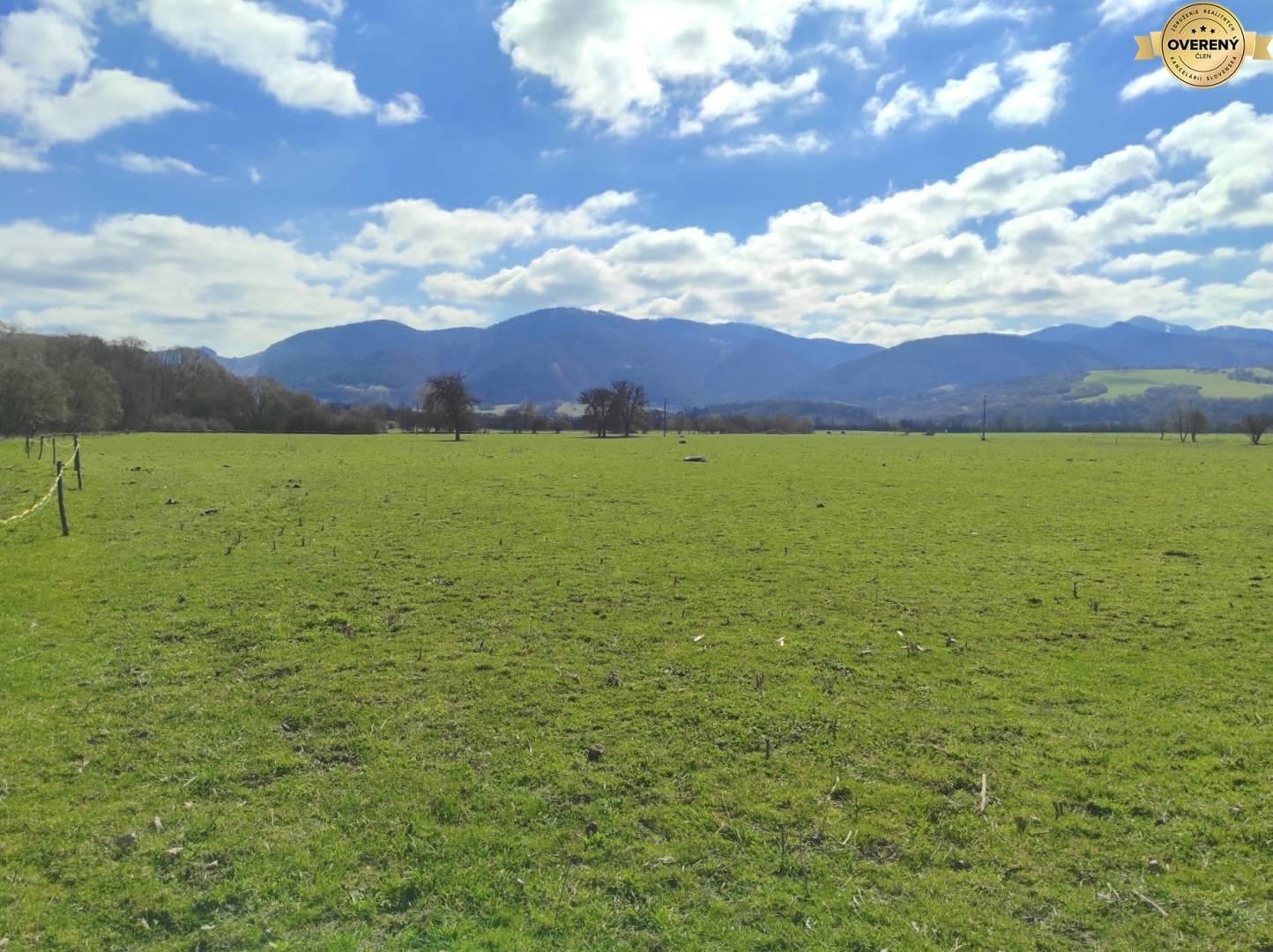 TURANY - pozemok na Družstevnej ulici 2140m2