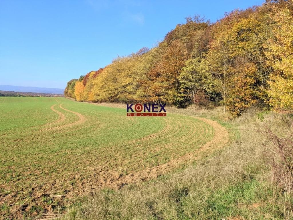 NA PREDAJ! Jesenné pozemky v okrese Poltár