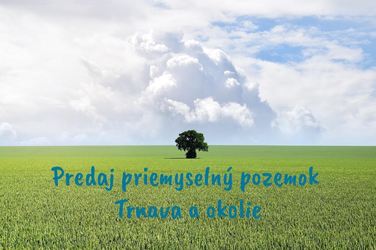 TT Reality - priemyselný pozemok na výstavbu haly v blízkosti Trnavy