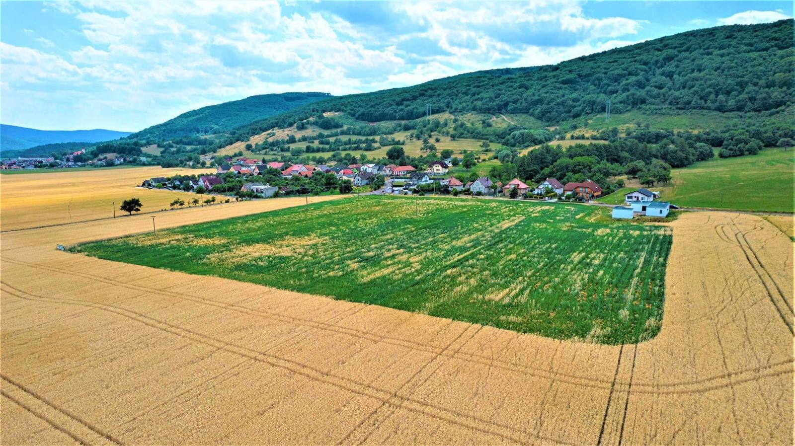 VIKÁRKY - pozemky v novej rezidenčnej štvrti