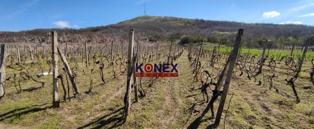 NA PREDAJ – Vinica – Malý Kamenec