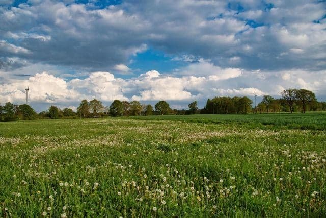 400m2 pozemok v obci Kendice len 17km od Košíc