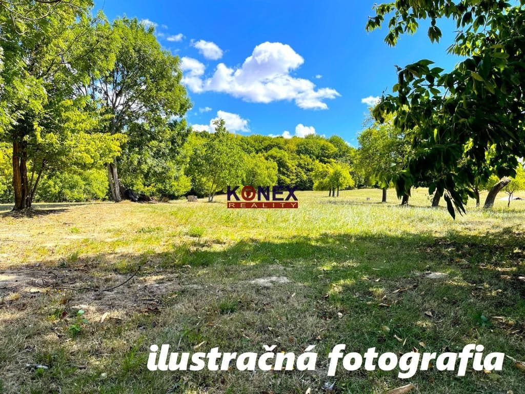 ID-3181 Pozemok – záhrada v obci Petrovce, okr. Sobrance