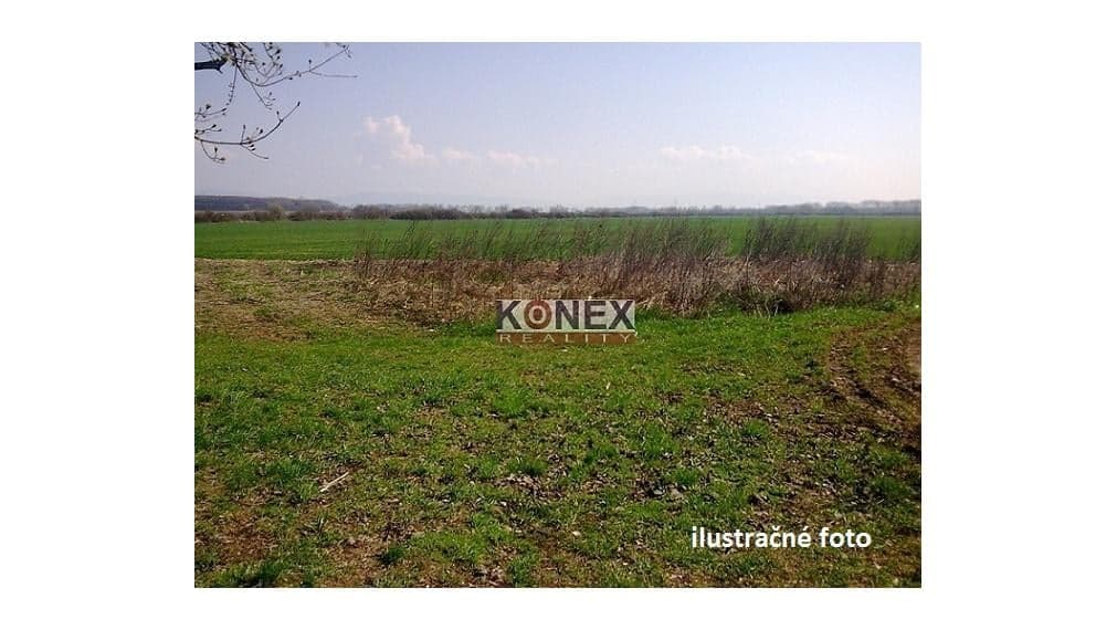 ID-3289 POĽNOHOSPODÁRSKE A LESNÉ POZEMKY – k. ú. Čukalovce