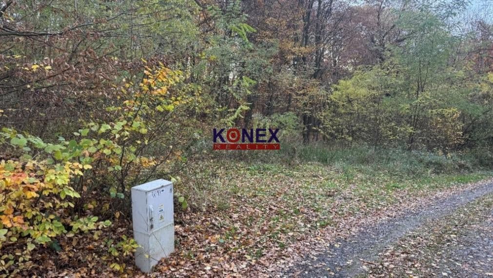 ID-3046 Rekreačný pozemok na výstavbu chaty pri VT – fotka 2