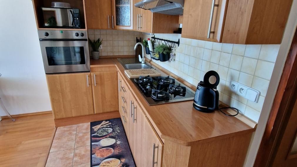 1,5 izb.byt s 6m logiou,42m2, Lidické nám, KE-Furča