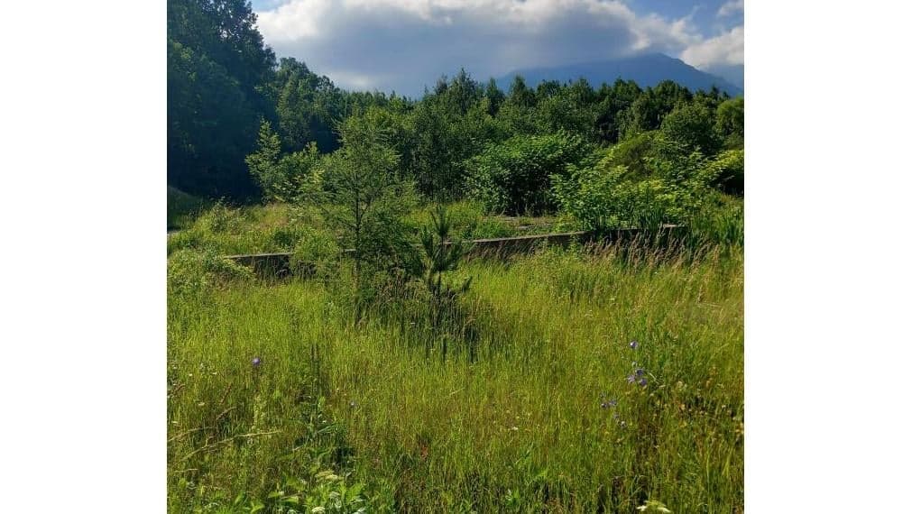Slnečný stavebný pozemok 1515 m2 v Novej Lesnej