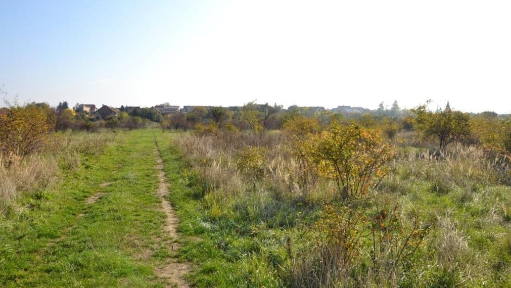 ✅ PREDANÉ: Slnečný pozemok Pezinok 3030 m2, Rozálka – fotka 2