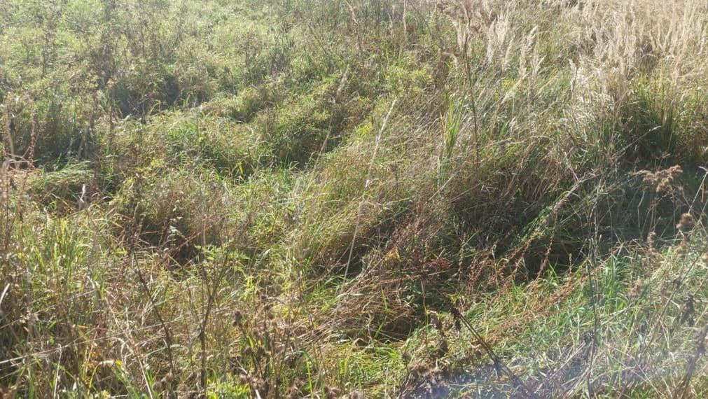 PREDAJ STAVEBNÝ POZEMOK NA VÝSTAVBU DOMU, REKREAČNEJ NEHNUTEĹNOSTI + DOHODA