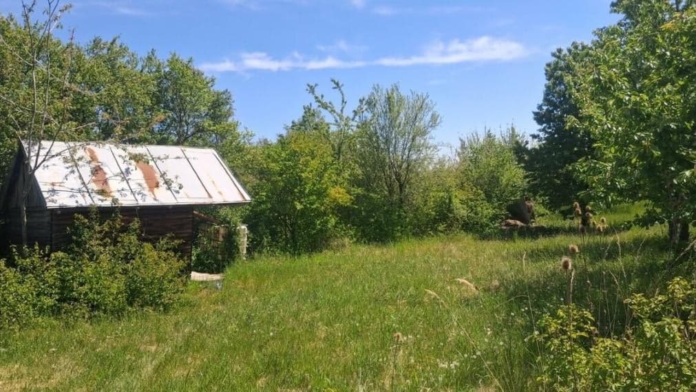 ID-3996 Rekreačný pozemok s chatkou SEČOVCE