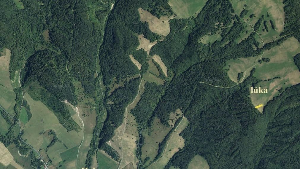 ID-4105 NA PREDAJ LESNÝ pozemok a TTP v k. ú. HABURA