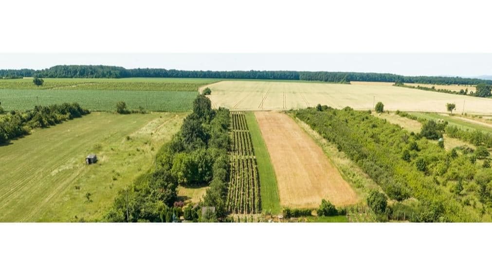 VYMEŇ SUSEDA! – PONÚKAME NA PREDAJ VÝNIMOČNÝ STAVEBNÝ POZEMOK 861m2.