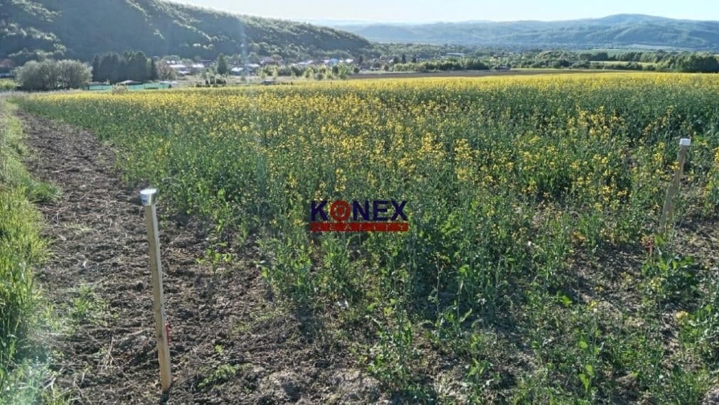 ID-3136 NA PREDAJ Pozemok Zemplínske Hámre
