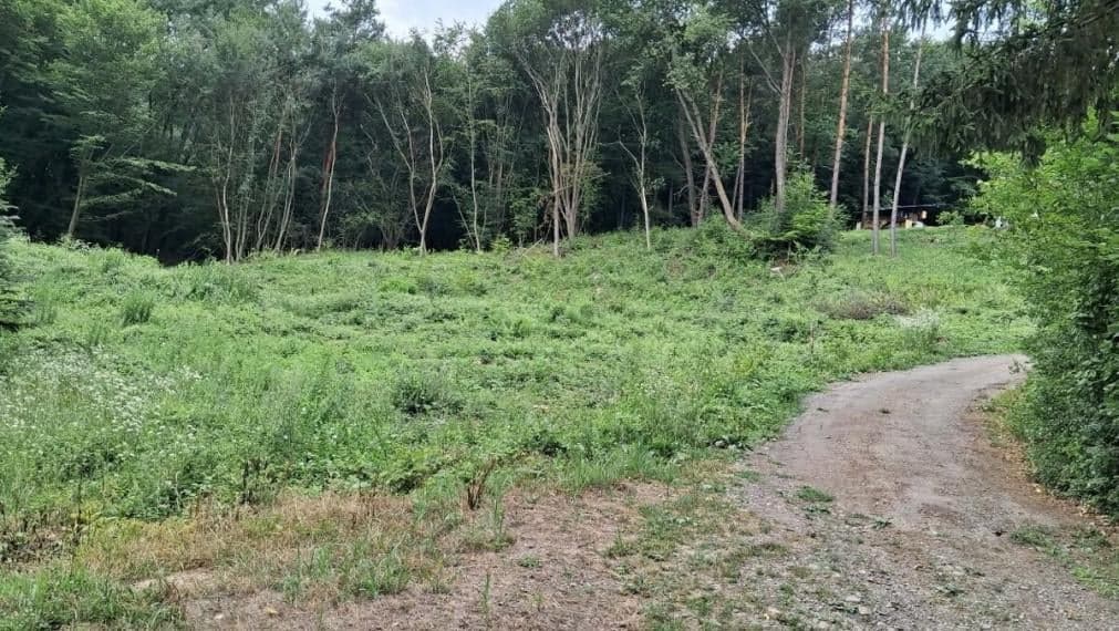 ID-4409 Rekreačný pozemok na výstavbu chát – DOMAŠA – DOBRÁ