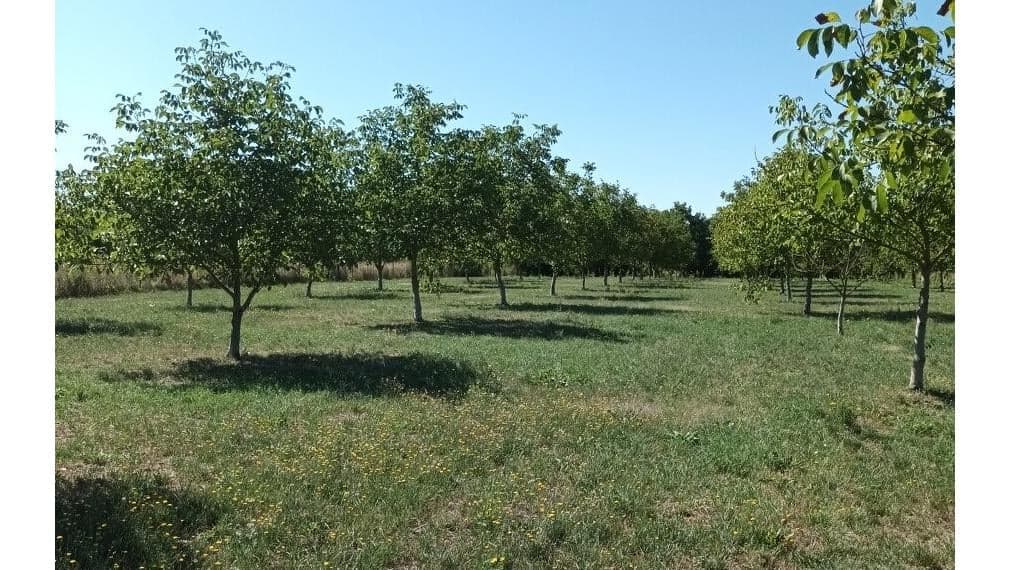ID-4625 Rozľahlý pozemok (6 900m2) BUDINCE